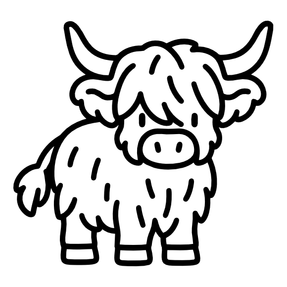 Highland Cow