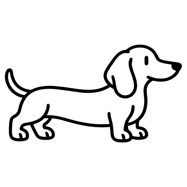 Dachshund